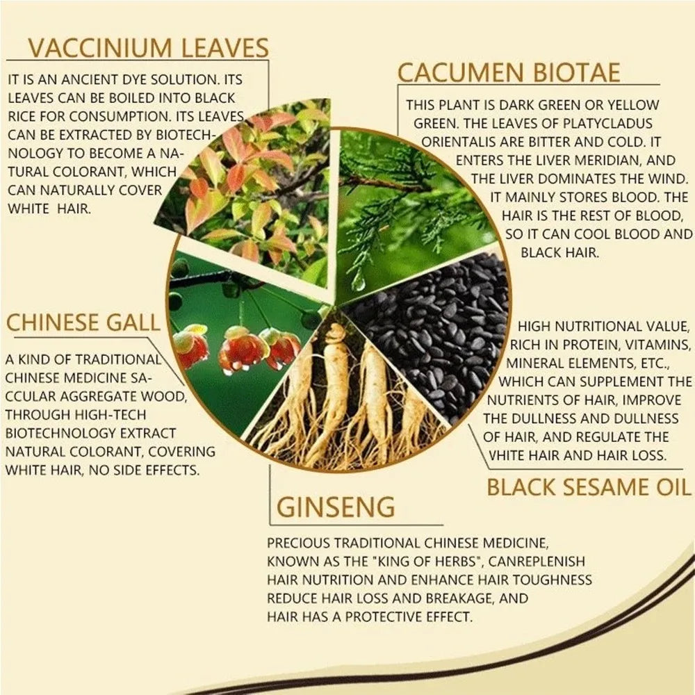 Hair Wash Black Shampoo Hair Dye Black Color | Premium Care