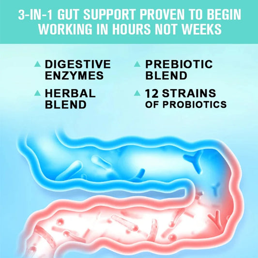 Garmtar Multi-Enzyme + 12-Probiotics (10B CFU) + Prebiotics - Garmtar Pure Supplements