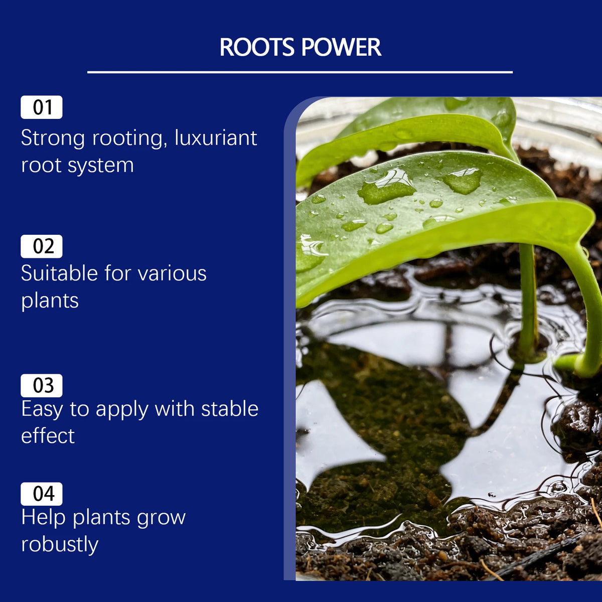 Plant Rooting Powder Root Growth Nutrient Supplement Boost Plant Robust Improve Nutrient Uptake For Houseplants Flowers Crops