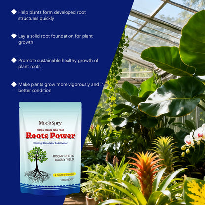 Plant Rooting Powder Root Growth Nutrient Supplement Boost Plant Robust Improve Nutrient Uptake For Houseplants Flowers Crops