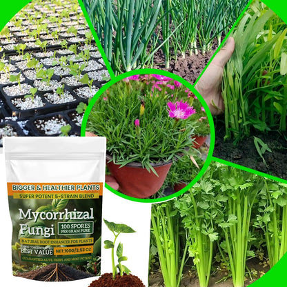 Plant Growth Enhancer Powder 100g Plant Growth Nutrient Fertilizer Multi-Purpose Rooting Supplement for Soil Culture Mixed