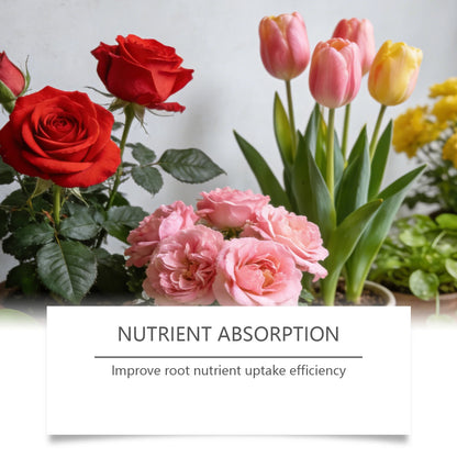 Plant Rooting Powder Root Growth Nutrient Supplement Boost Plant Robust Improve Nutrient Uptake For Houseplants Flowers Crops