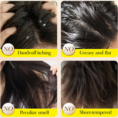 Natural Honey Shampoo Plant Essence Extract Refreshing Shampoo | Premium Care