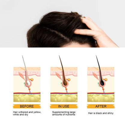 Hair Blackening Shampoo Soap Repairs Gray And Anti | Premium Care